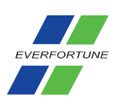 Everfortune logo